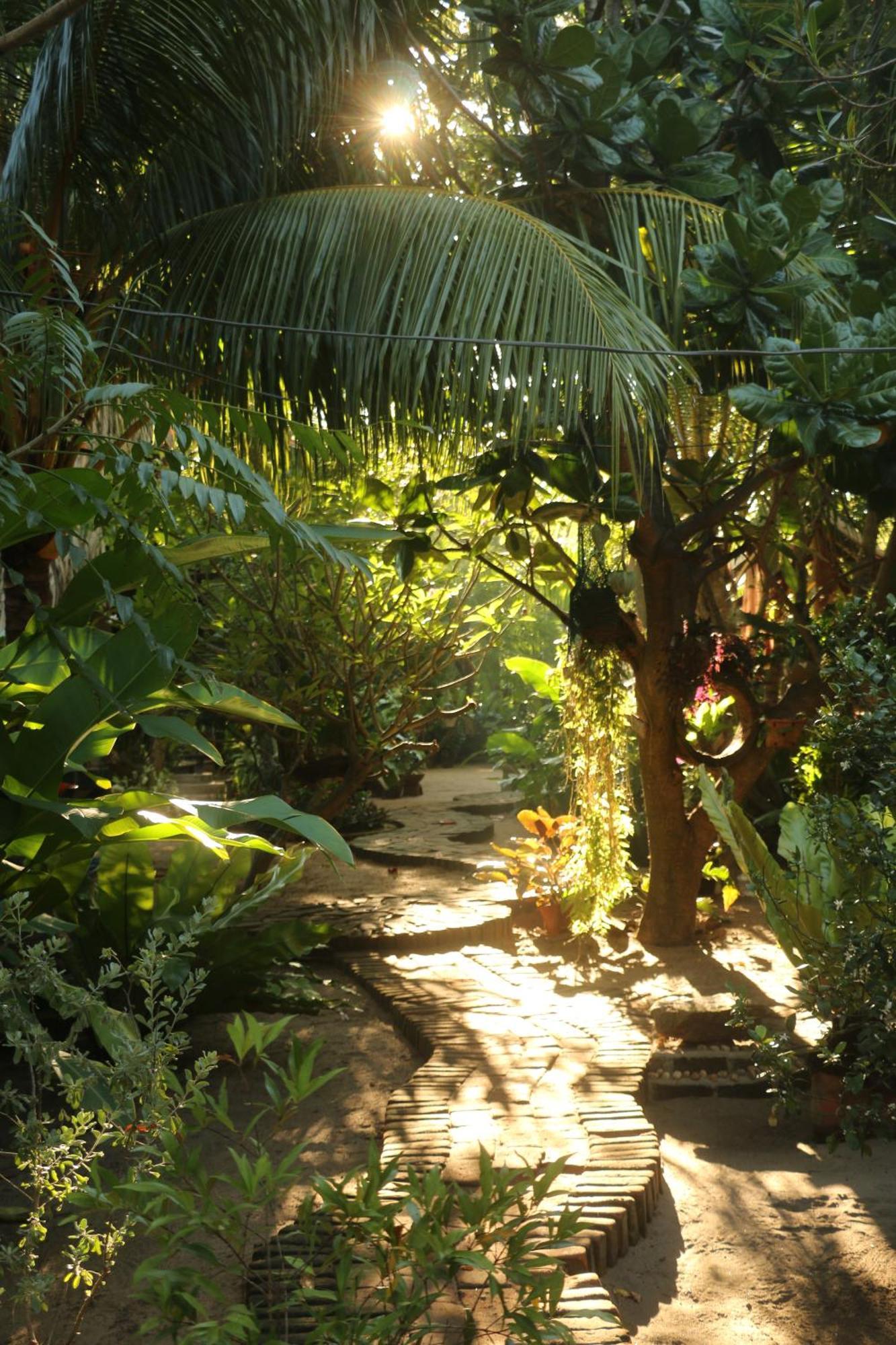 Monsoon Eco Resort - Whisky Point Arugambay Pottuvil Exterior foto