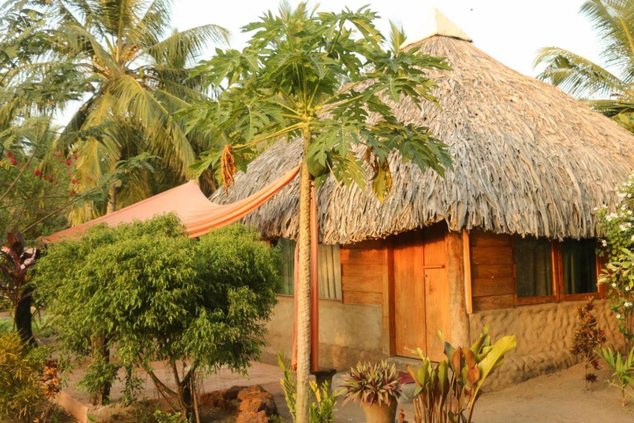 Monsoon Eco Resort - Whisky Point Arugambay Pottuvil Habitación foto